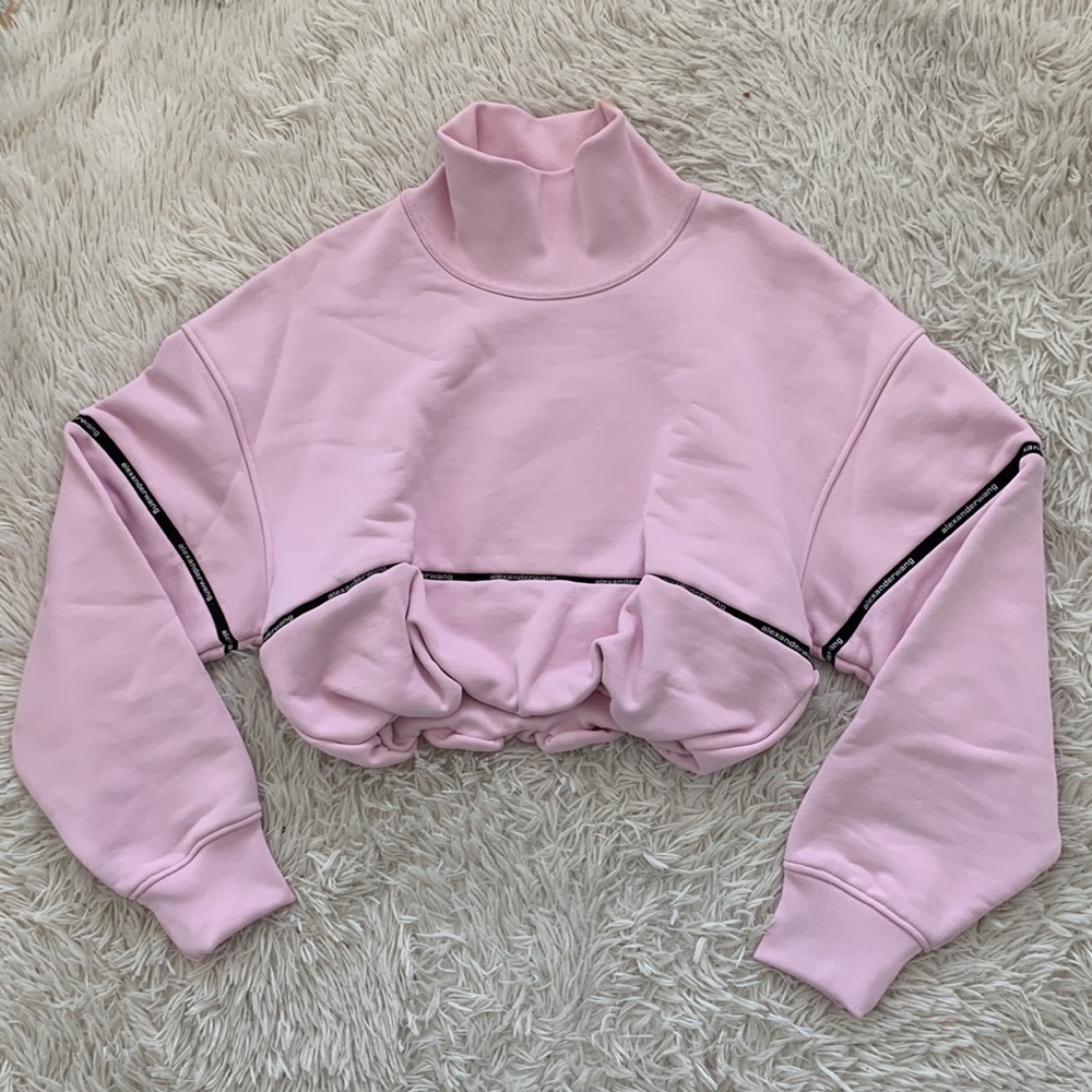 NWT Alexander Wang t cropped sweatshirt logo tape